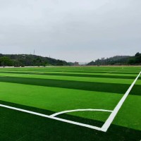 Reasonable price high perfomance outdoor sports two color soccer football Artificial grass