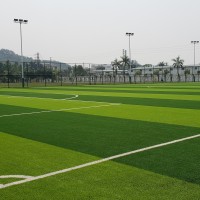 ENOCH Artificial Lawn Grass PE Indoor Outdoor Football Field Soccer Court Artificial Grass 50mm